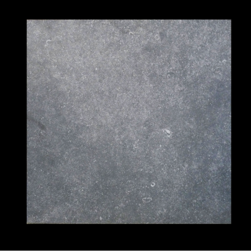 LOT1011