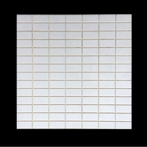 LOT-O564