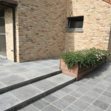 Bluestone YL - Century H + YL - Tumbled